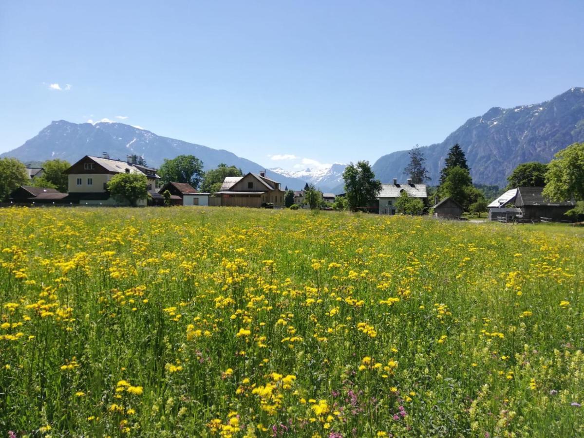 Wanderlust Rooms Bad Goisern Buitenkant foto