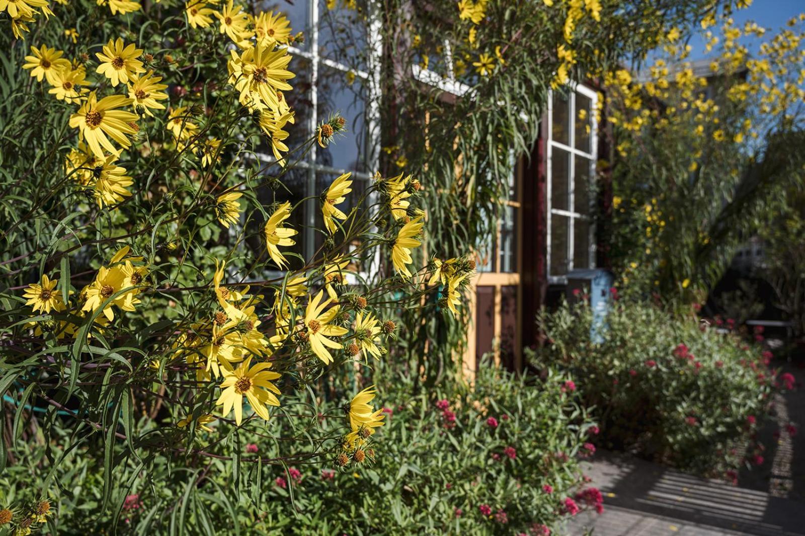 Wanderlust Rooms Bad Goisern Buitenkant foto